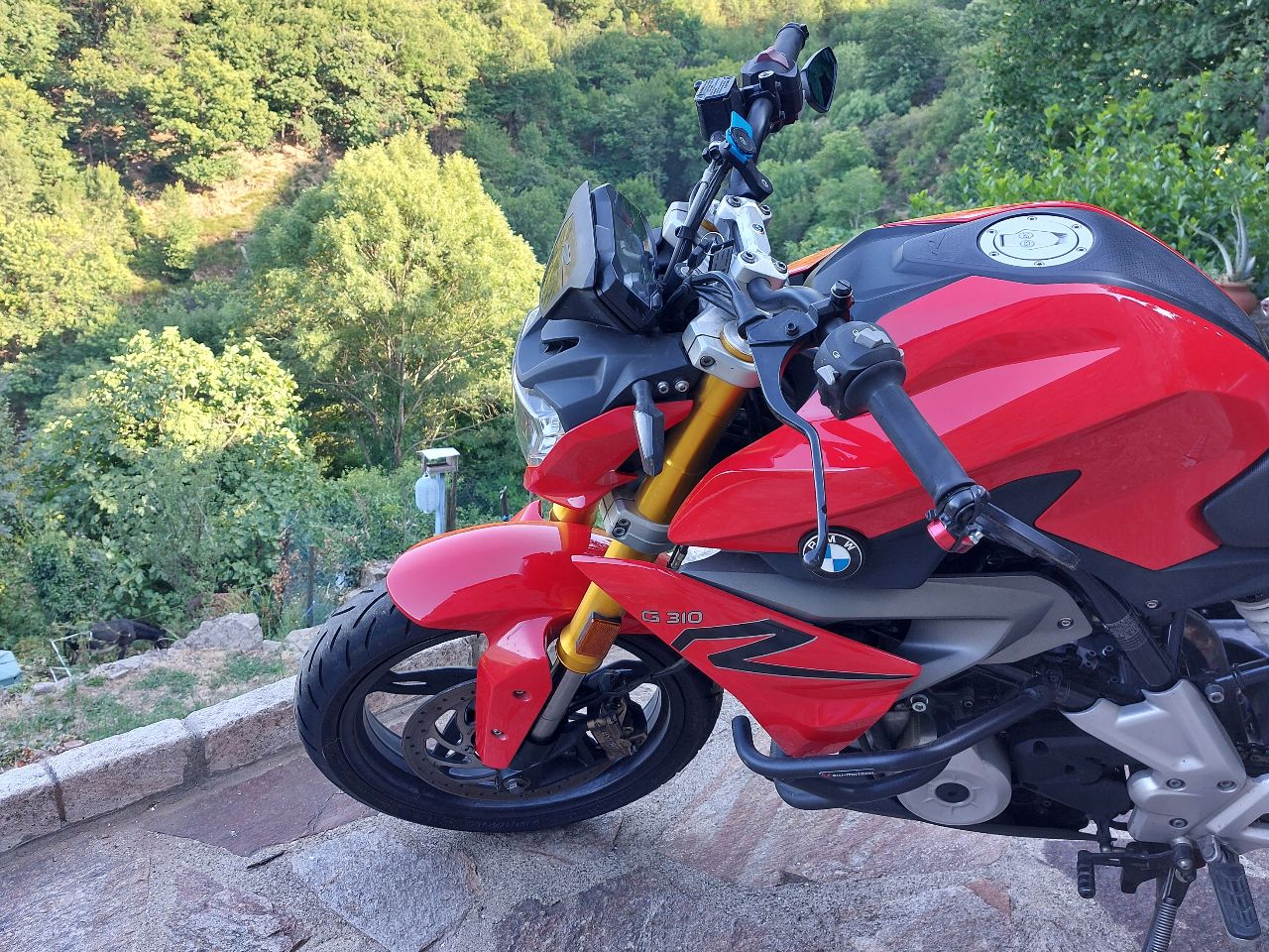 BMW G310R