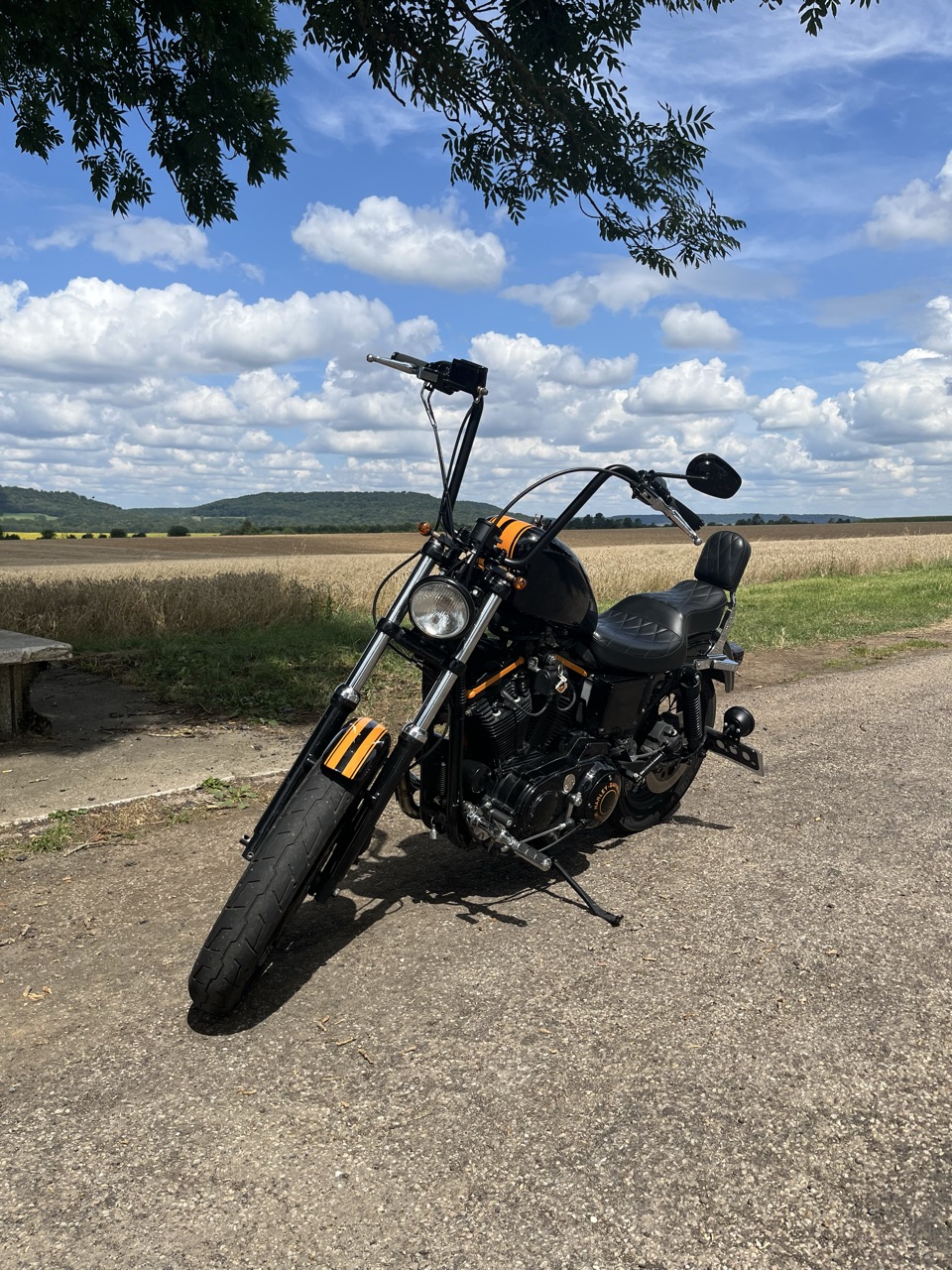 SPORTSTER 1200
