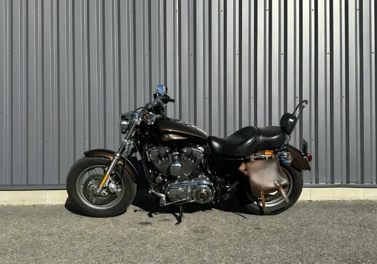 Harley Davidson SPORTSTER 1200 XL CUSTOM 110 TH