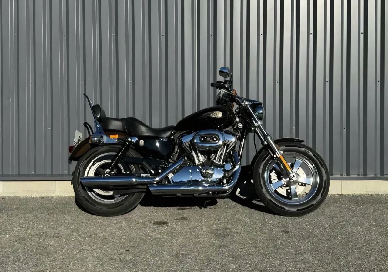 Harley Davidson SPORTSTER 1200 XL CUSTOM 110 TH