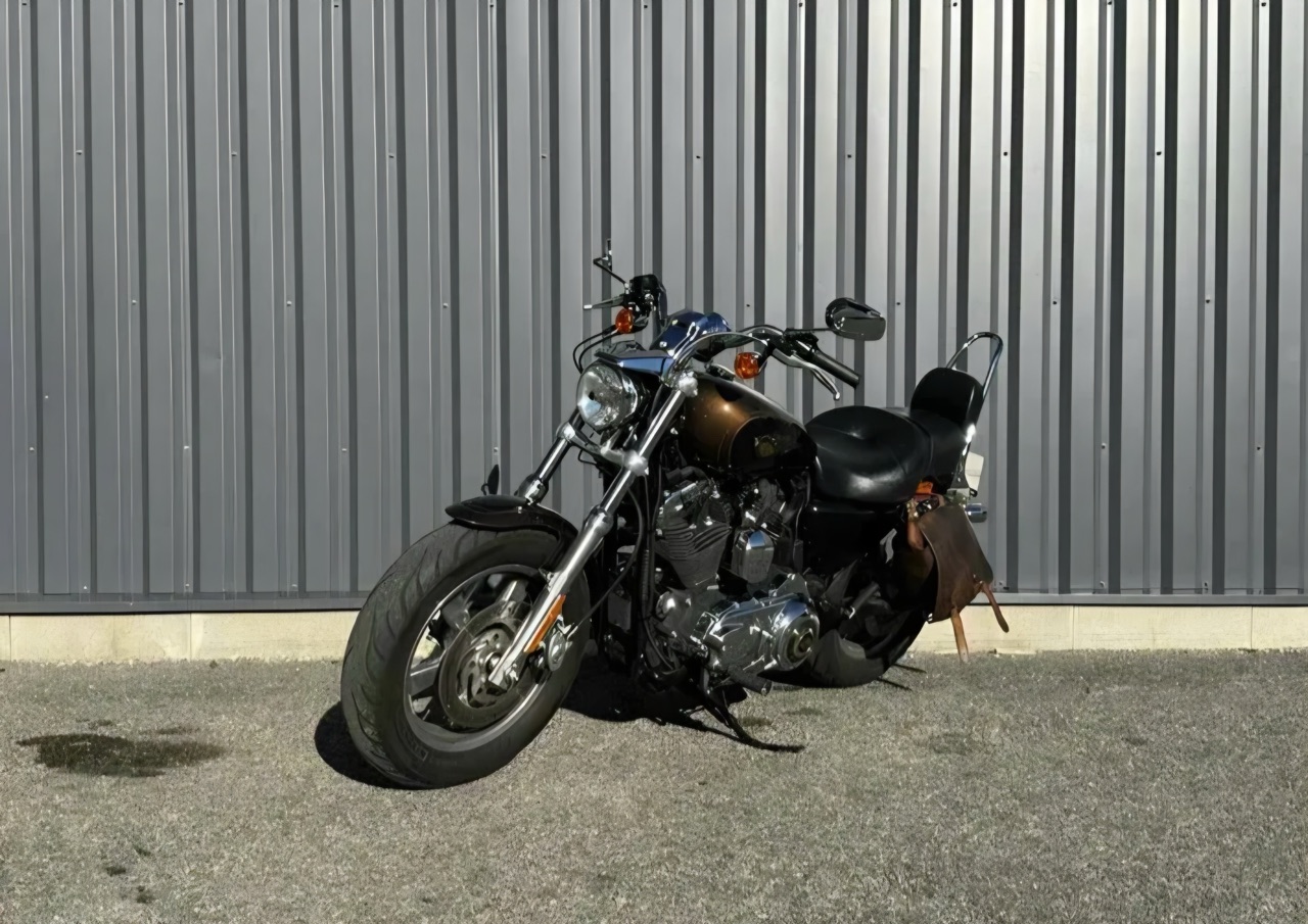 Harley Davidson SPORTSTER 1200 XL CUSTOM 110 TH