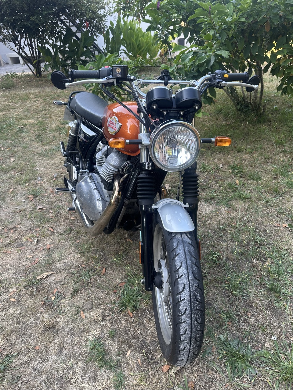 Royal enfiled interceptor 