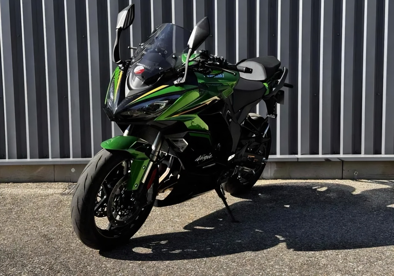 Kawasaki Ninja 1100 SX SE