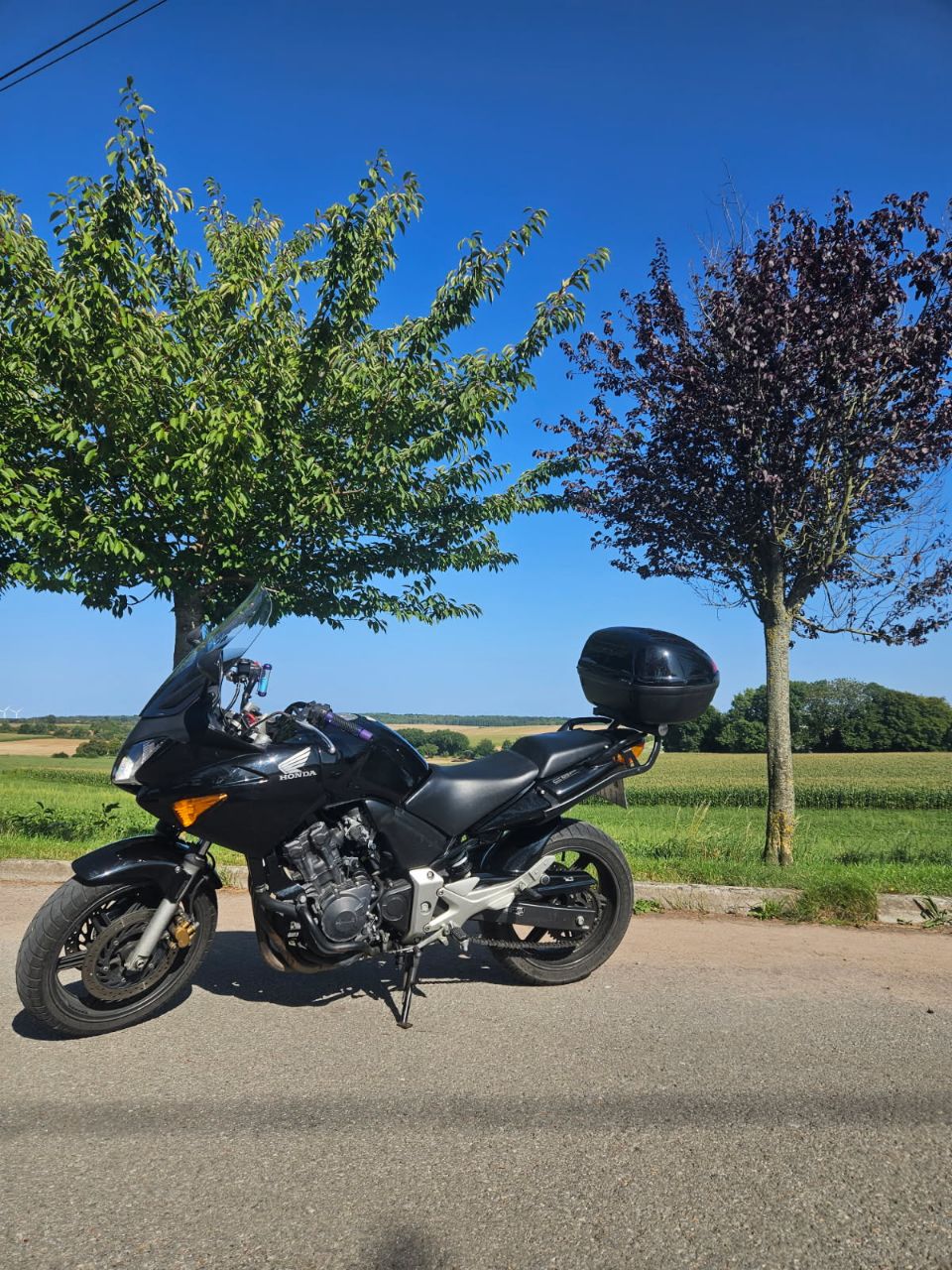 Honda cbf600 de 2005