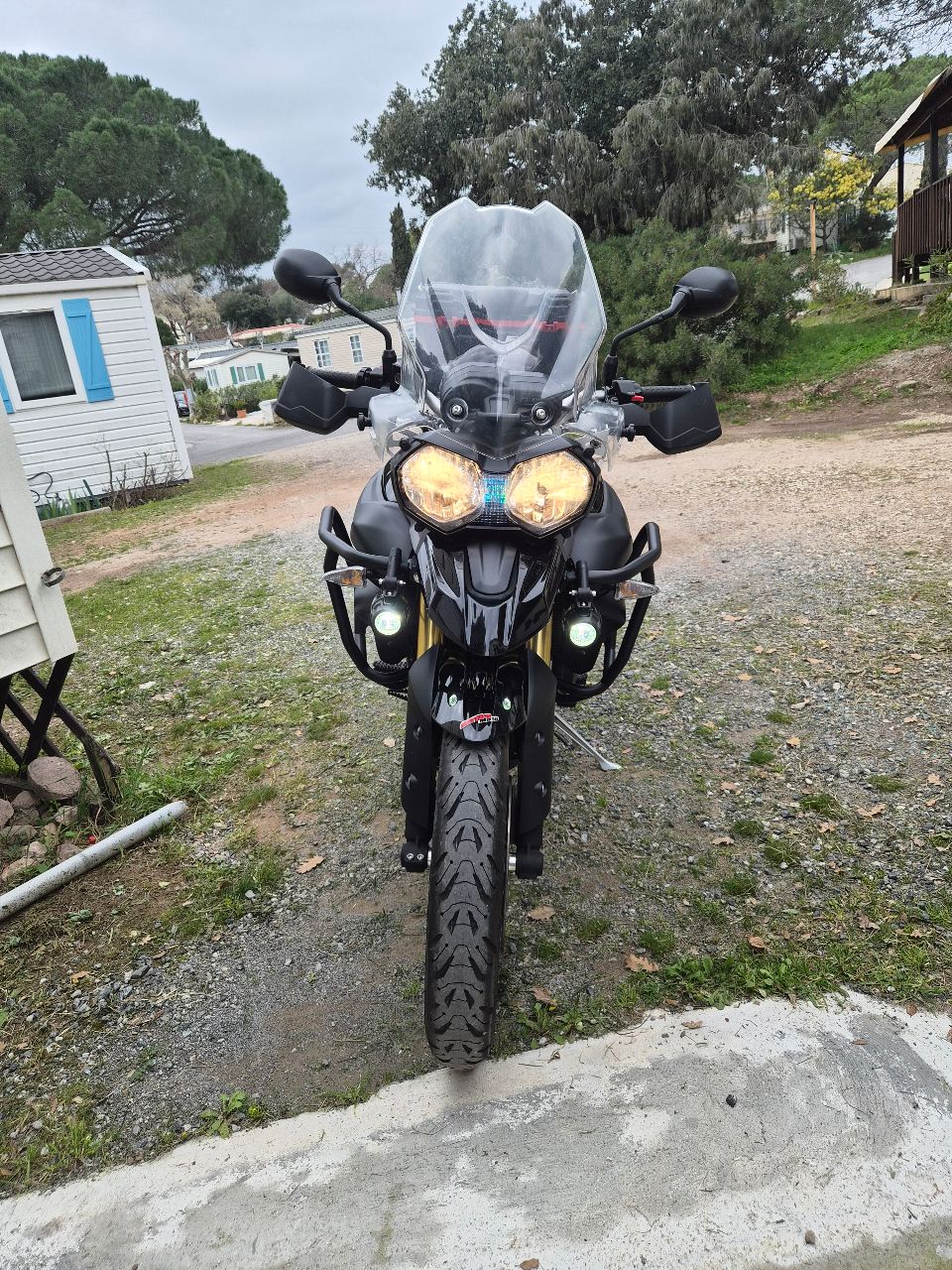 Triumph tiger 800