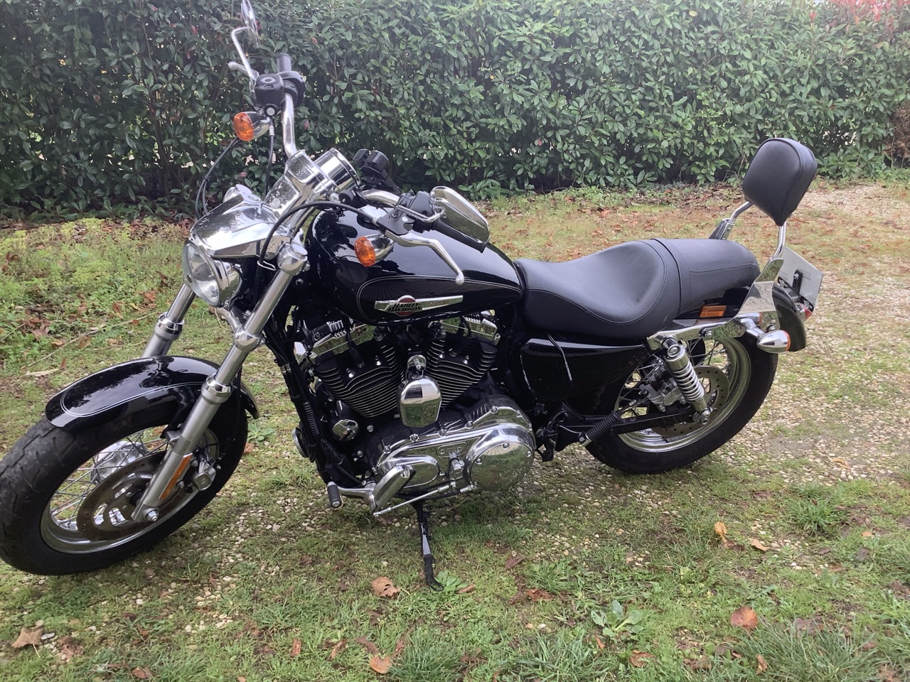 Harley Davidson Sportser custom 