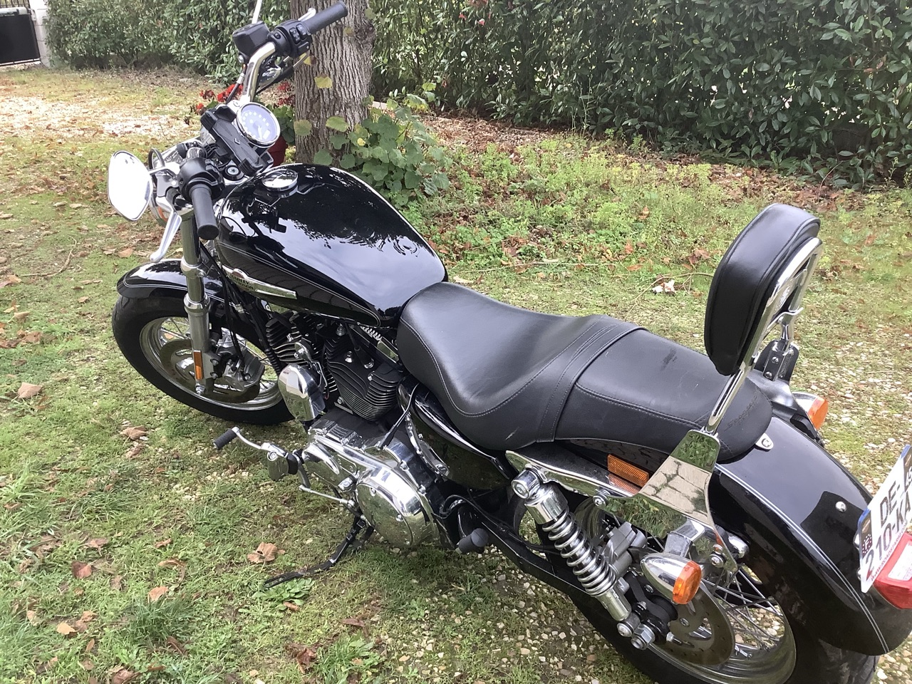 Harley Davidson Sportser custom 