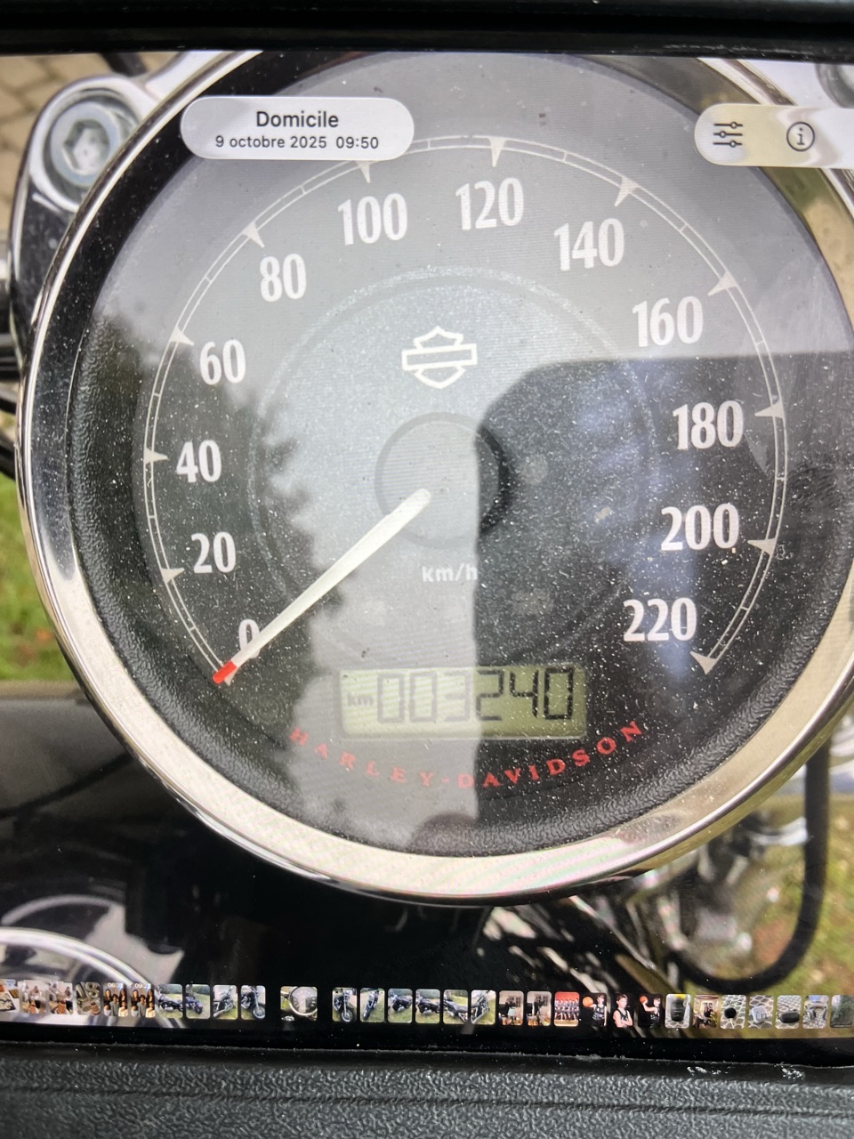 Harley Davidson Sportser custom 