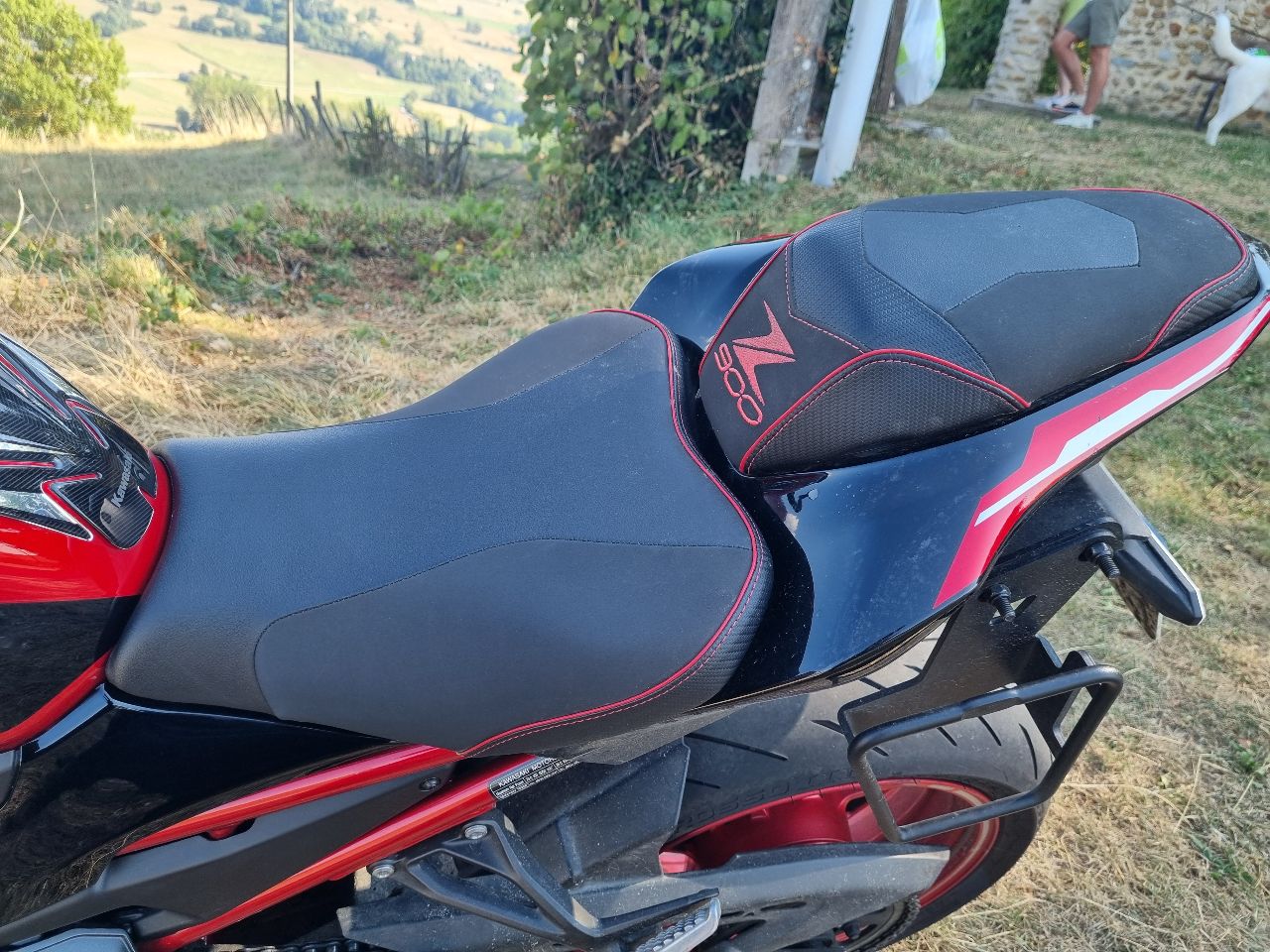 Kawazaki Z900 (2024)