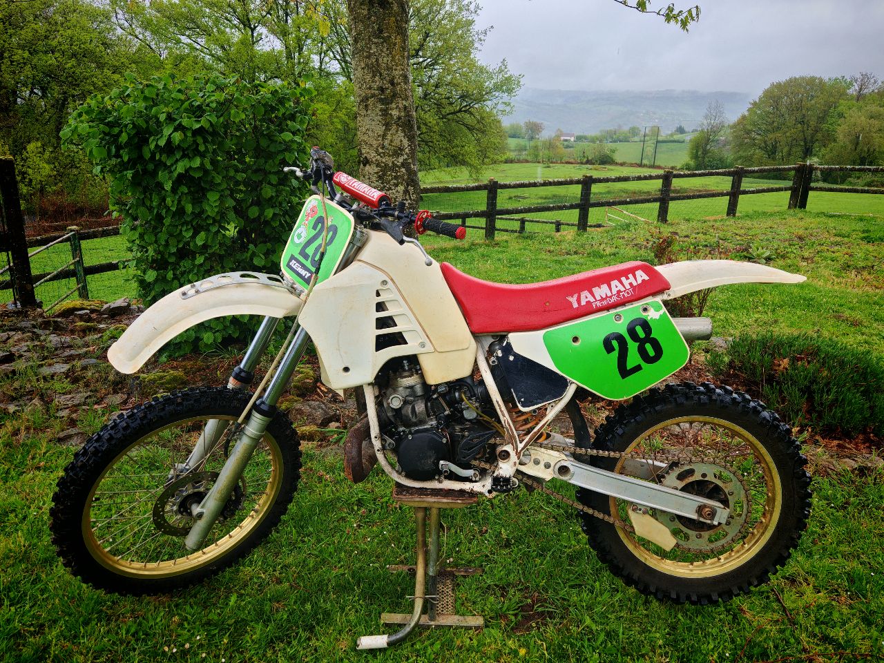 Yamaha 250 YZ 1986 