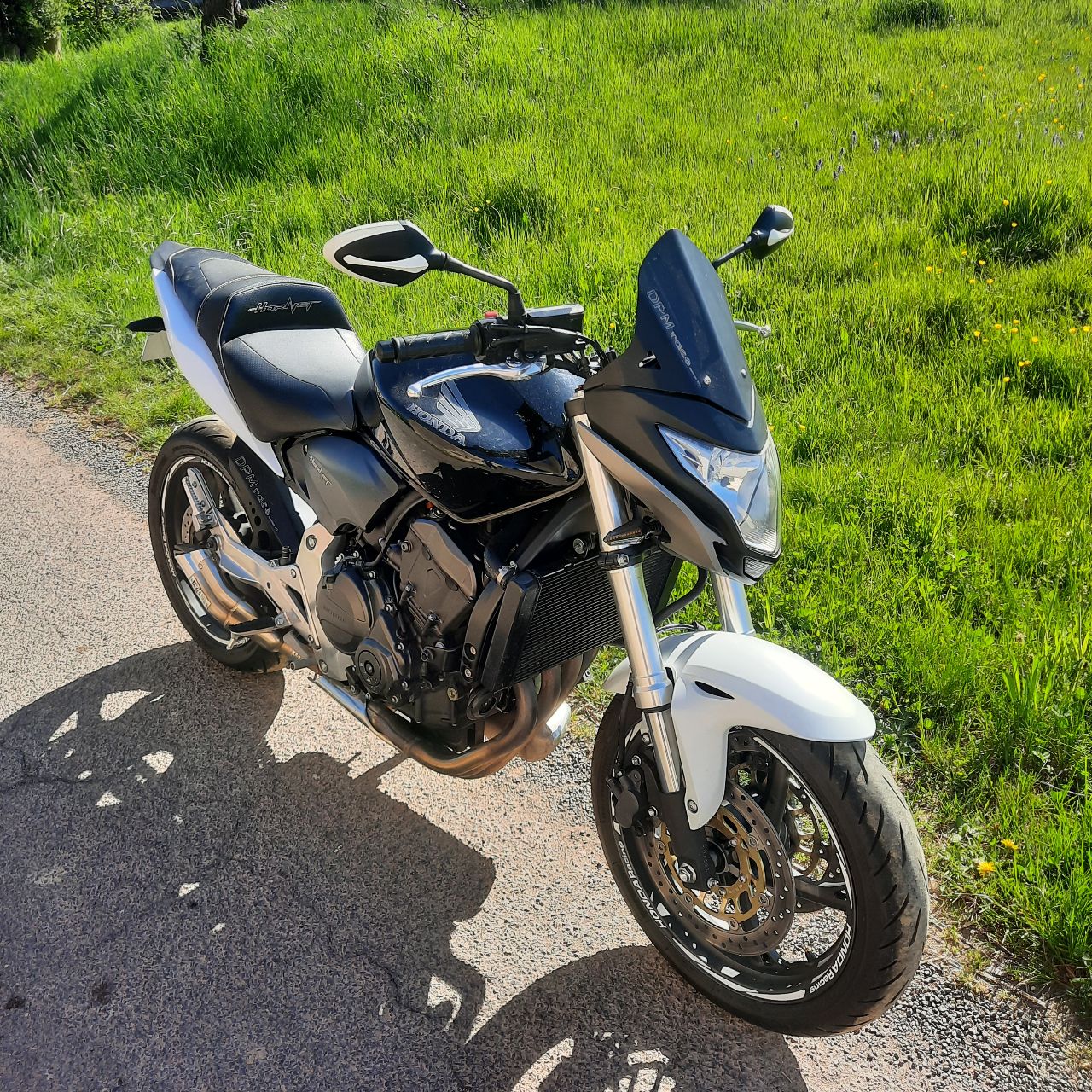 Hornet 600 - 2011 