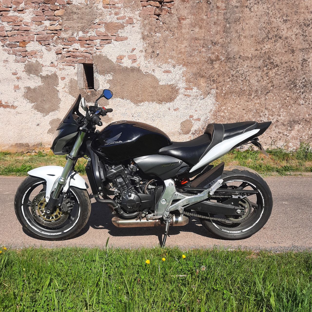 Hornet 600 - 2011 