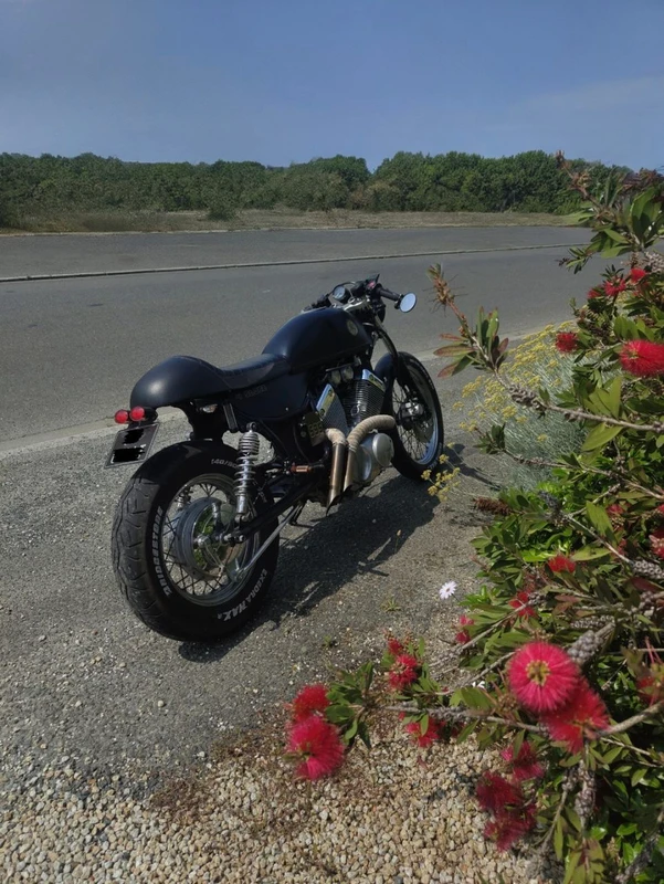 535 virago café racer 