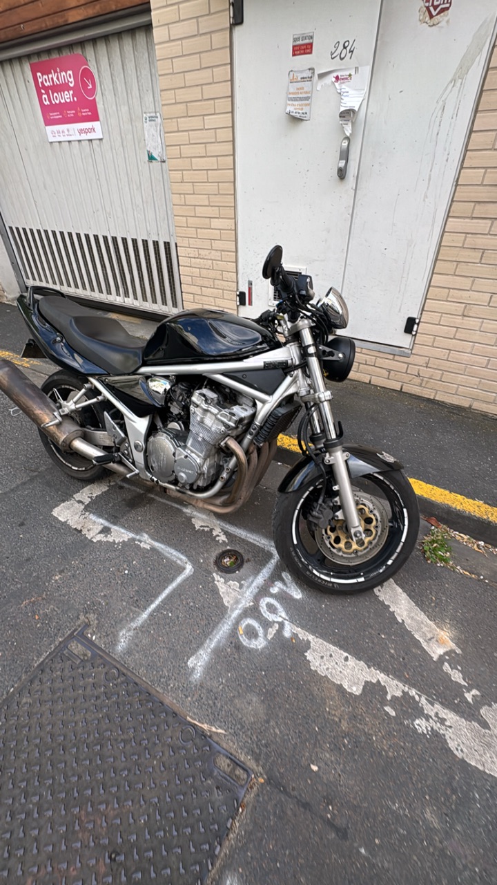 Bandit 600