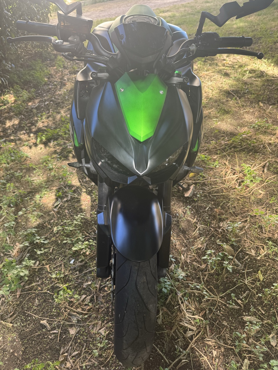 Z1000 2016