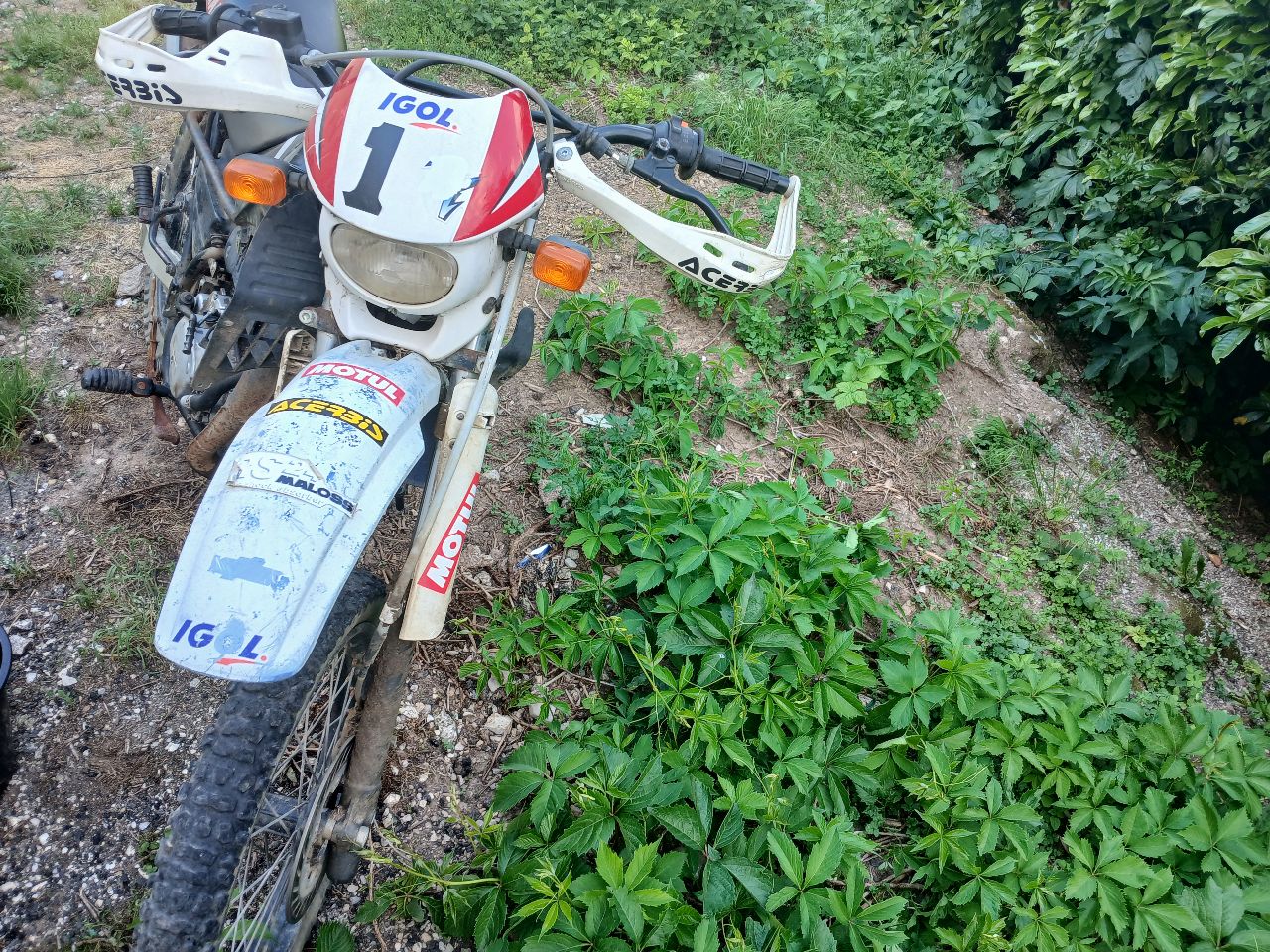 Moto