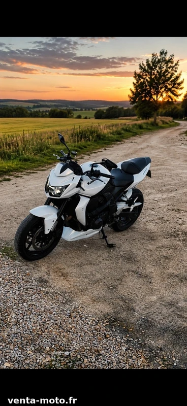 Z 750 2010