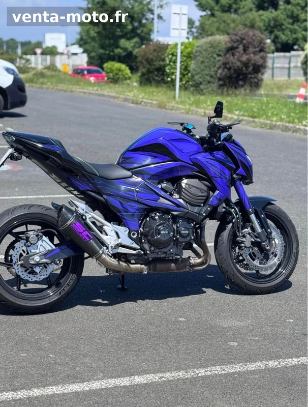 Kawasaki Z800e bridée