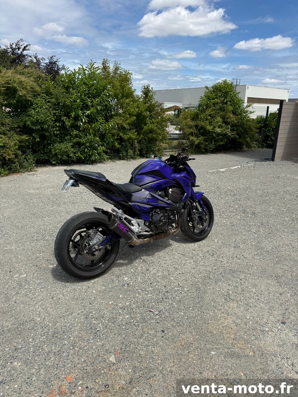 Kawasaki Z800e bridée