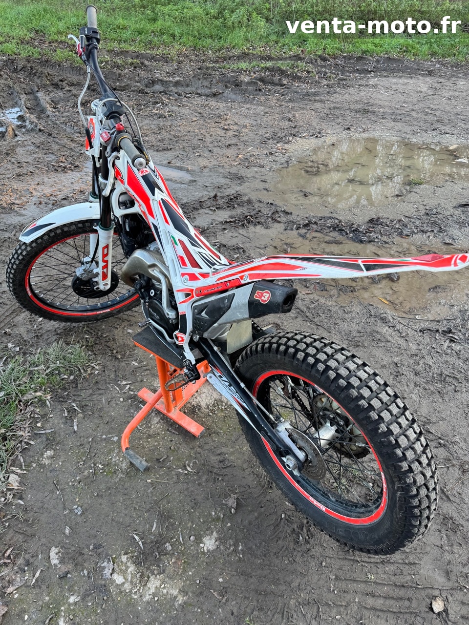 Beta 300 EVO 2016